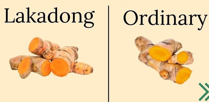 3d2413f2d15ffc1d40fa61eb38201c22